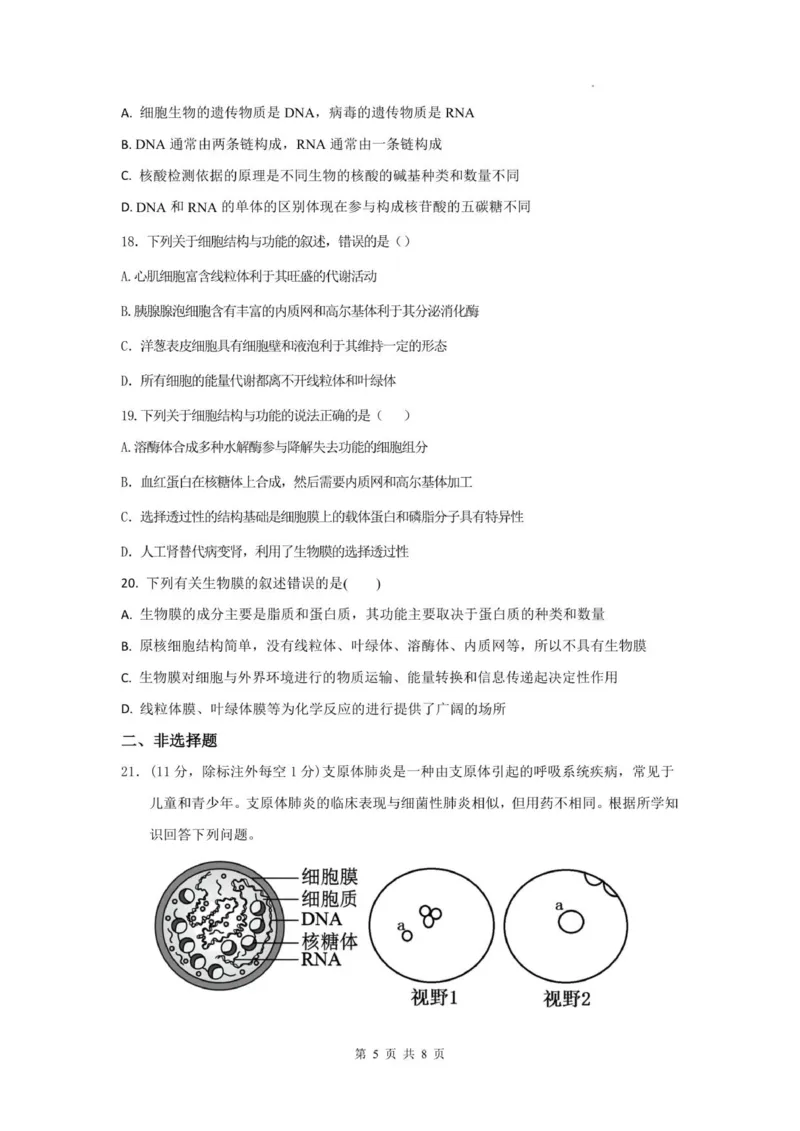 四川省德阳市第五中学2025-2026学年高一上学期10月月考生物试题(图片版含答案)_2025年11月高一试卷_251111四川省德阳市第五中学2025-2026学年高一上学期10月月考