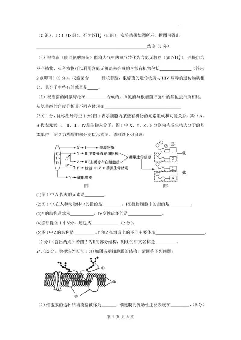 四川省德阳市第五中学2025-2026学年高一上学期10月月考生物试题(图片版含答案)_2025年11月高一试卷_251111四川省德阳市第五中学2025-2026学年高一上学期10月月考