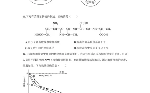 四川省德阳市第五中学2025-2026学年高一上学期10月月考生物试题(图片版含答案)_2025年11月高一试卷_251111四川省德阳市第五中学2025-2026学年高一上学期10月月考