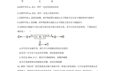四川省德阳市第五中学2025-2026学年高一上学期10月月考生物试题(图片版含答案)_2025年11月高一试卷_251111四川省德阳市第五中学2025-2026学年高一上学期10月月考