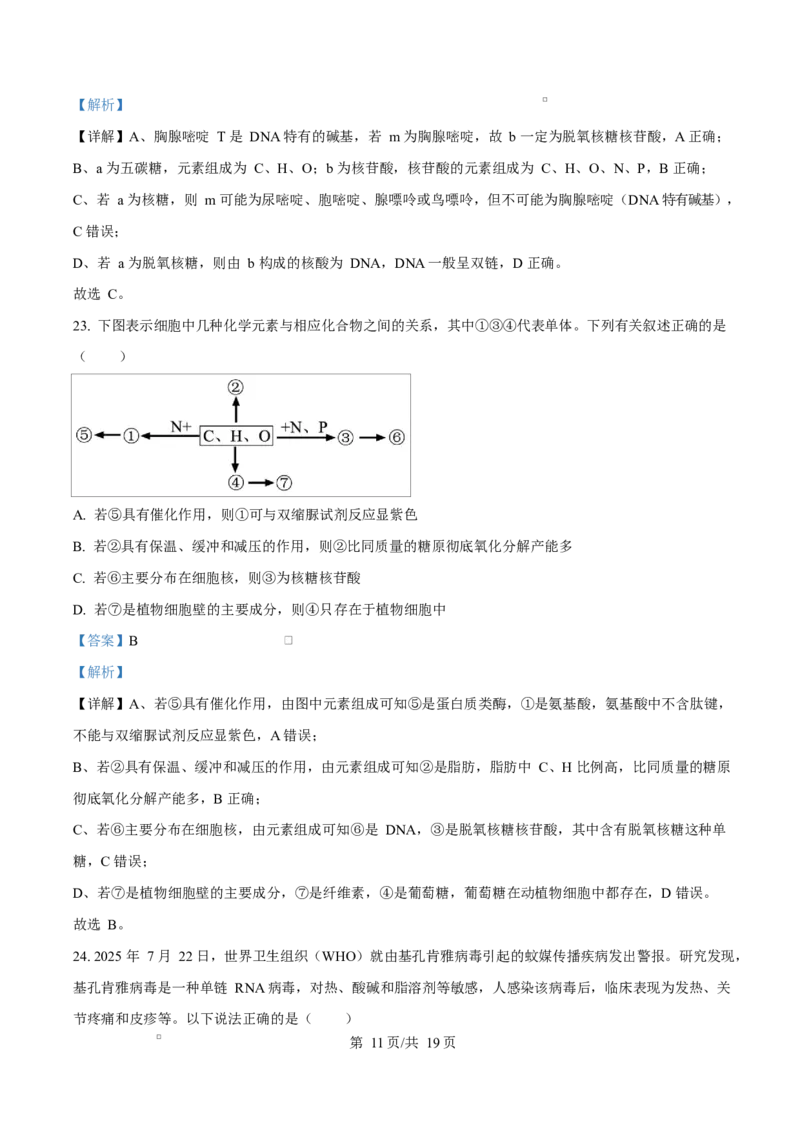 四川省内江市第一中学2025-2026学年高一上学期10月月考生物试题Word版含解析_2025年11月高一试卷_251101四川省内江市第一中学2025-2026学年高一上学期第一次月考（全）(1)