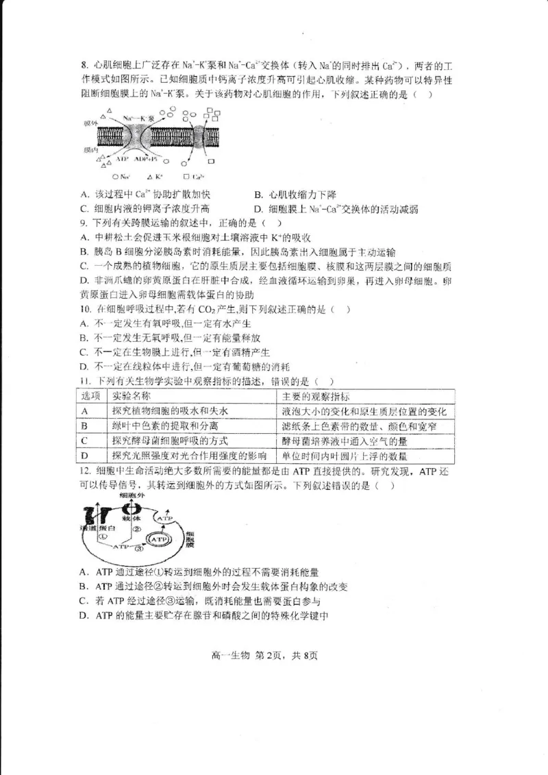 哈三中2024-2025学年度上学期高一学年12月月考生物试卷_2025年01月试卷_0113黑龙江省哈尔滨市第三中学2024-2025学年高一上学期12月月考试题