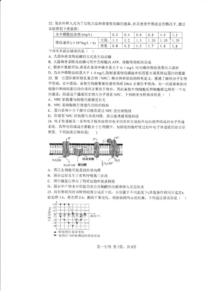 哈三中2024-2025学年度上学期高一学年12月月考生物试卷_2025年01月试卷_0113黑龙江省哈尔滨市第三中学2024-2025学年高一上学期12月月考试题