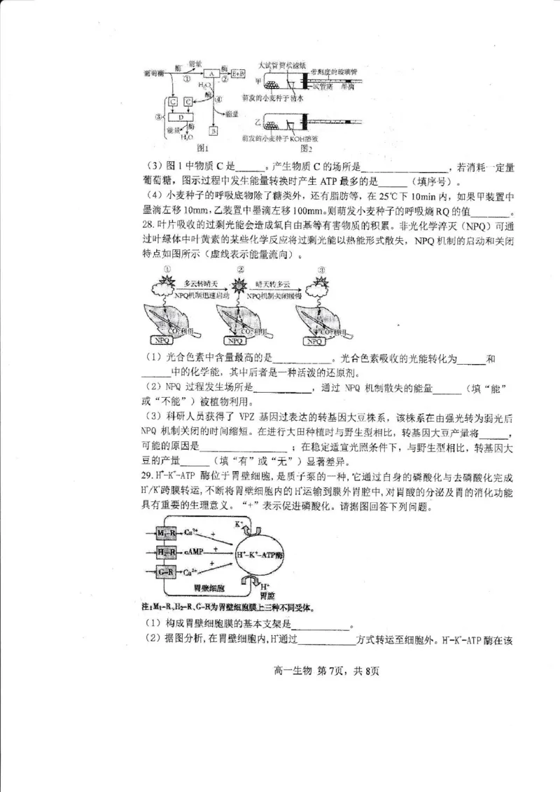 哈三中2024-2025学年度上学期高一学年12月月考生物试卷_2025年01月试卷_0113黑龙江省哈尔滨市第三中学2024-2025学年高一上学期12月月考试题