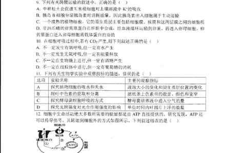哈三中2024-2025学年度上学期高一学年12月月考生物试卷_2025年01月试卷_0113黑龙江省哈尔滨市第三中学2024-2025学年高一上学期12月月考试题