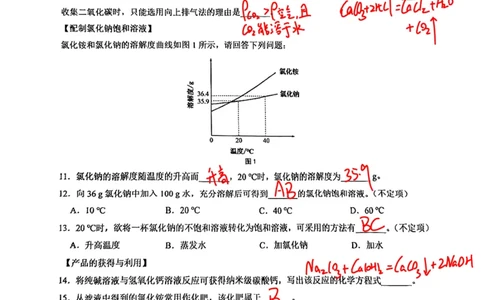2026届长宁区初三一模化学试卷（手写答案）_0122026上海中考一模二模真题试卷_2026年上海一模_上海1500初中高中试卷_长宁区
