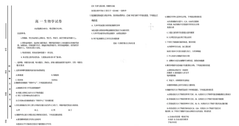 吉黑十校联考2024~2025学年度第一学期期中考试生物（含答案）_纯图版_2024年11月试卷_1116吉林省长春市吉黑两省十校联合体2024-2025学年高一上学期11月期中考试