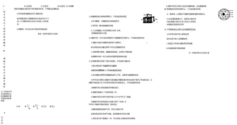 吉黑十校联考2024~2025学年度第一学期期中考试生物（含答案）_纯图版_2024年11月试卷_1116吉林省长春市吉黑两省十校联合体2024-2025学年高一上学期11月期中考试