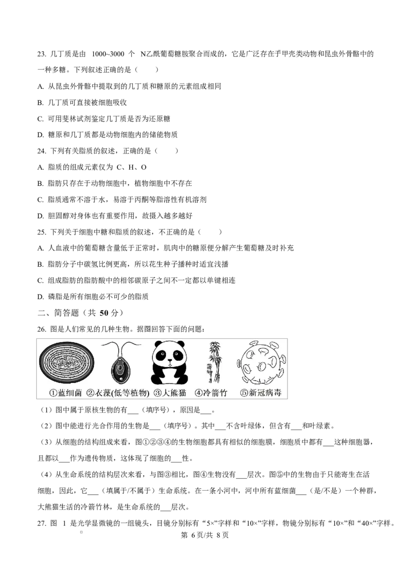 四川省内江市威远中学2025-2026学年高一上学期10月月考生物试题（原卷版）_2025年11月高一试卷_251103四川省内江市威远中学2025-2026学年高一上学期第一次月考（全）