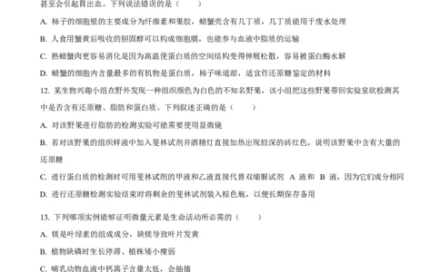四川省内江市威远中学2025-2026学年高一上学期10月月考生物试题（原卷版）_2025年11月高一试卷_251103四川省内江市威远中学2025-2026学年高一上学期第一次月考（全）