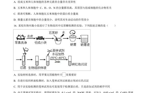 四川省内江市威远中学2025-2026学年高一上学期10月月考生物试题（原卷版）_2025年11月高一试卷_251103四川省内江市威远中学2025-2026学年高一上学期第一次月考（全）