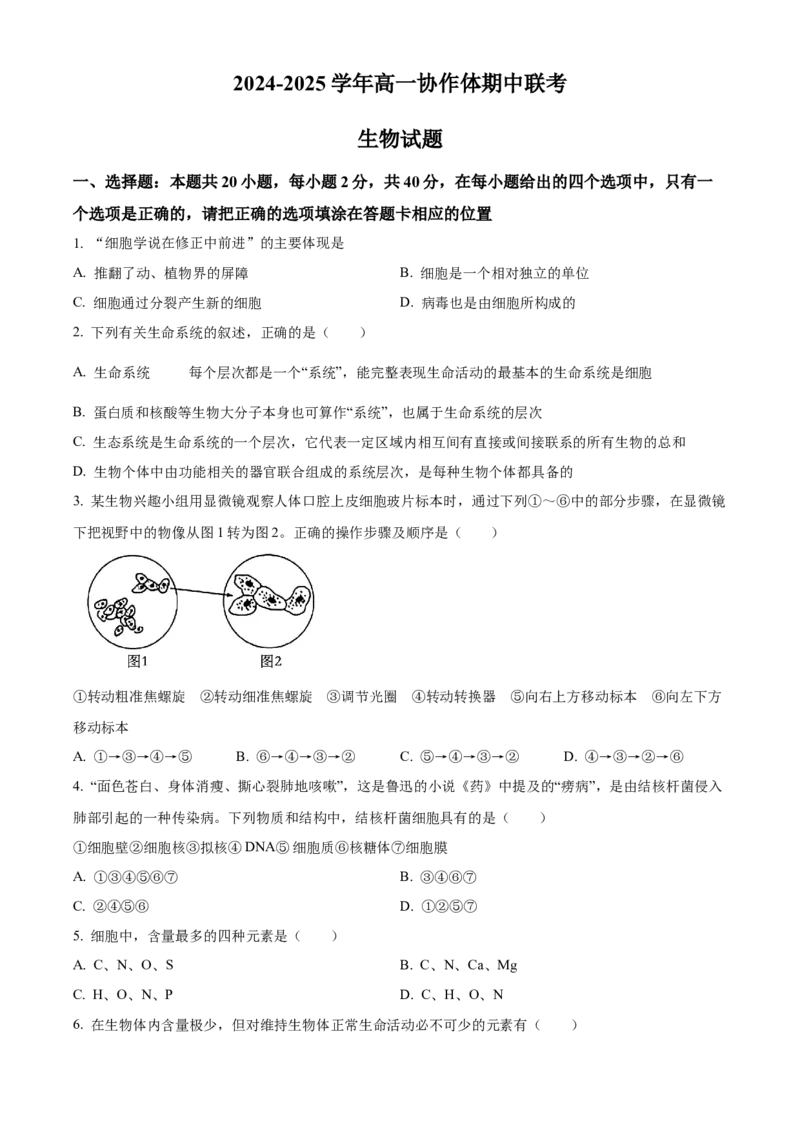 四川省眉山市仁寿县协作体2024-2025学年高一上学期11月期中联考生物试题Word版无答案_2024年12月试卷_1224四川省眉山市仁寿县协作体2024-2025学年高一上学期11月期中联考