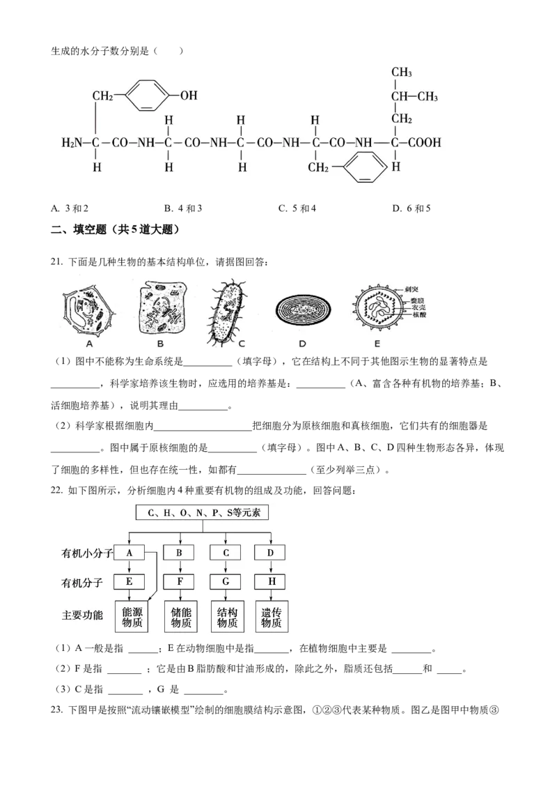 四川省眉山市仁寿县协作体2024-2025学年高一上学期11月期中联考生物试题Word版无答案_2024年12月试卷_1224四川省眉山市仁寿县协作体2024-2025学年高一上学期11月期中联考