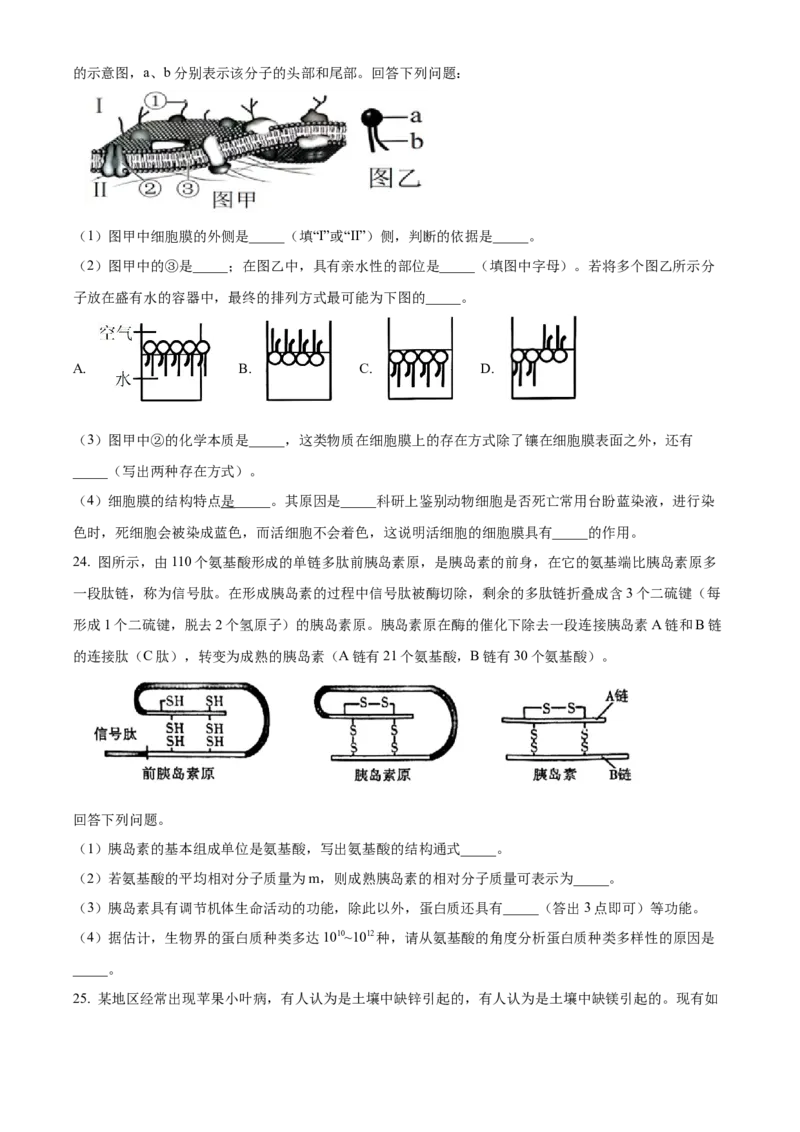 四川省眉山市仁寿县协作体2024-2025学年高一上学期11月期中联考生物试题Word版无答案_2024年12月试卷_1224四川省眉山市仁寿县协作体2024-2025学年高一上学期11月期中联考