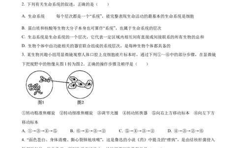 四川省眉山市仁寿县协作体2024-2025学年高一上学期11月期中联考生物试题Word版无答案_2024年12月试卷_1224四川省眉山市仁寿县协作体2024-2025学年高一上学期11月期中联考