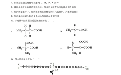 四川省眉山市仁寿县协作体2024-2025学年高一上学期11月期中联考生物试题Word版无答案_2024年12月试卷_1224四川省眉山市仁寿县协作体2024-2025学年高一上学期11月期中联考