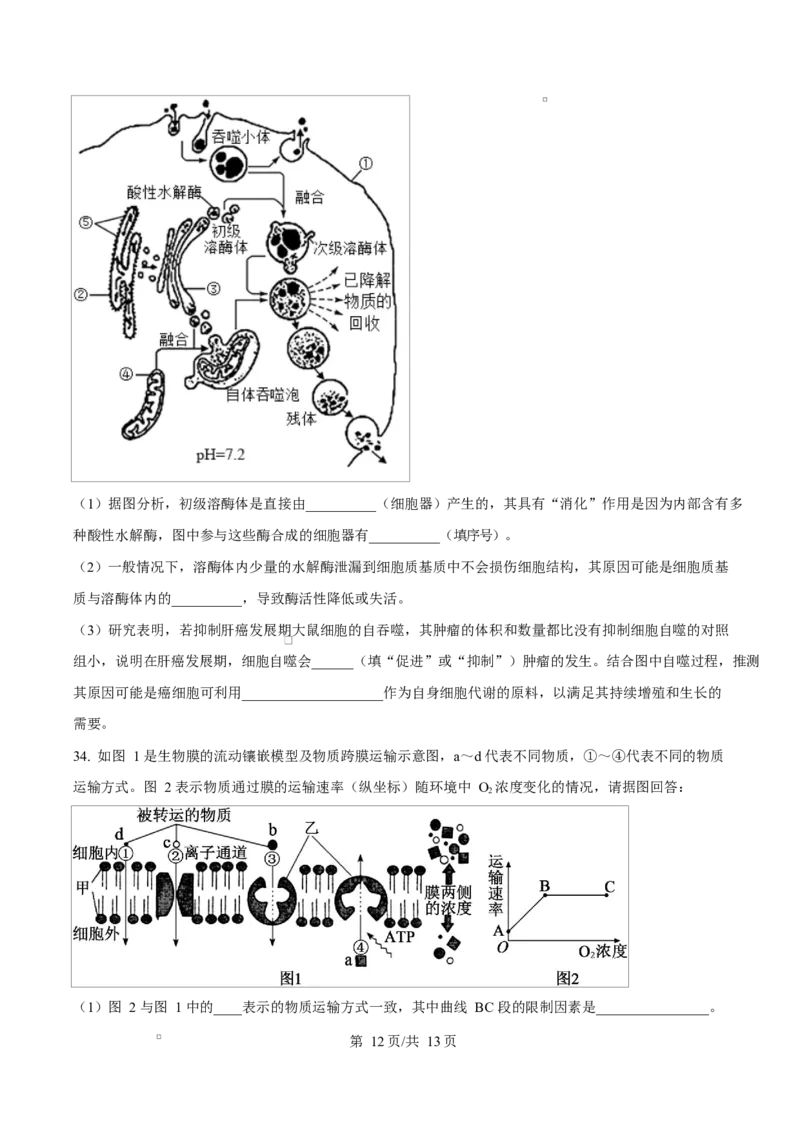 四川省达州市第一中学2025-2026学年高一上学期第二次月考生物试题（原卷版）_2026年01月高一试卷_260102四川省达州市第一中学校2025-2026学年高一上学期第二次月考（全）