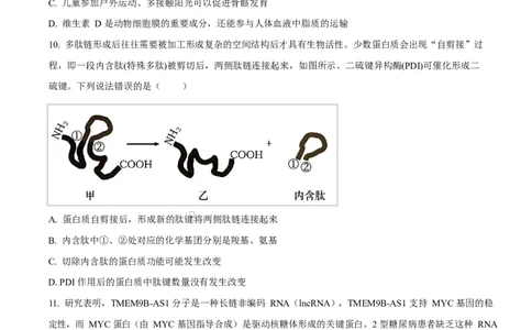 四川省达州市第一中学2025-2026学年高一上学期第二次月考生物试题（原卷版）_2026年01月高一试卷_260102四川省达州市第一中学校2025-2026学年高一上学期第二次月考（全）
