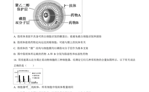 四川省达州市第一中学2025-2026学年高一上学期第二次月考生物试题（原卷版）_2026年01月高一试卷_260102四川省达州市第一中学校2025-2026学年高一上学期第二次月考（全）
