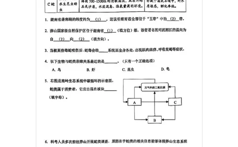 2026杨浦一模跨学科_0122026上海中考一模二模真题试卷_2026年上海一模_上海1500初中高中试卷_杨浦区