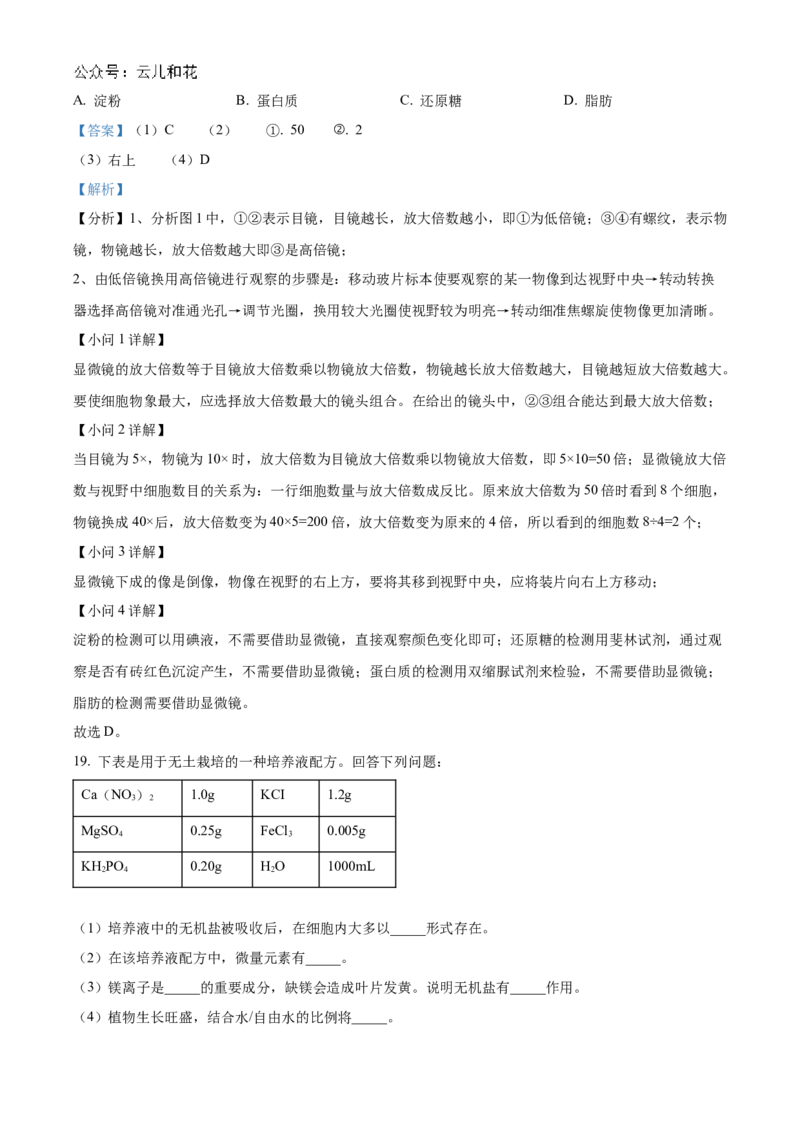 四川省南充市嘉陵第一中学2024-2025学年高一上学期10月月考生物试题Word版含解析_2024年11月试卷_1105四川省南充市嘉陵第一中学2024-2025学年高一上学期10月月考