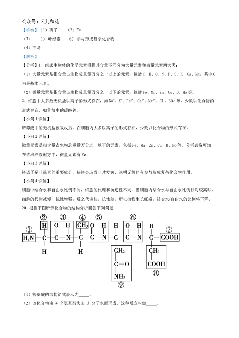 四川省南充市嘉陵第一中学2024-2025学年高一上学期10月月考生物试题Word版含解析_2024年11月试卷_1105四川省南充市嘉陵第一中学2024-2025学年高一上学期10月月考