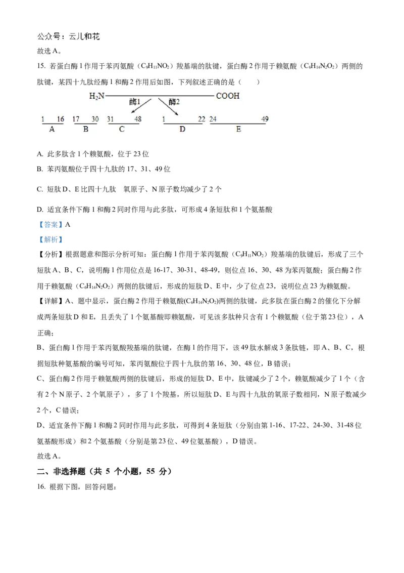 四川省南充市嘉陵第一中学2024-2025学年高一上学期10月月考生物试题Word版含解析_2024年11月试卷_1105四川省南充市嘉陵第一中学2024-2025学年高一上学期10月月考