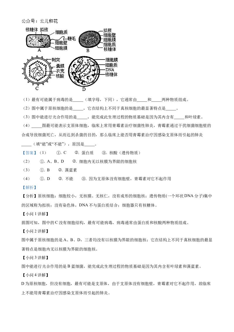 四川省南充市嘉陵第一中学2024-2025学年高一上学期10月月考生物试题Word版含解析_2024年11月试卷_1105四川省南充市嘉陵第一中学2024-2025学年高一上学期10月月考