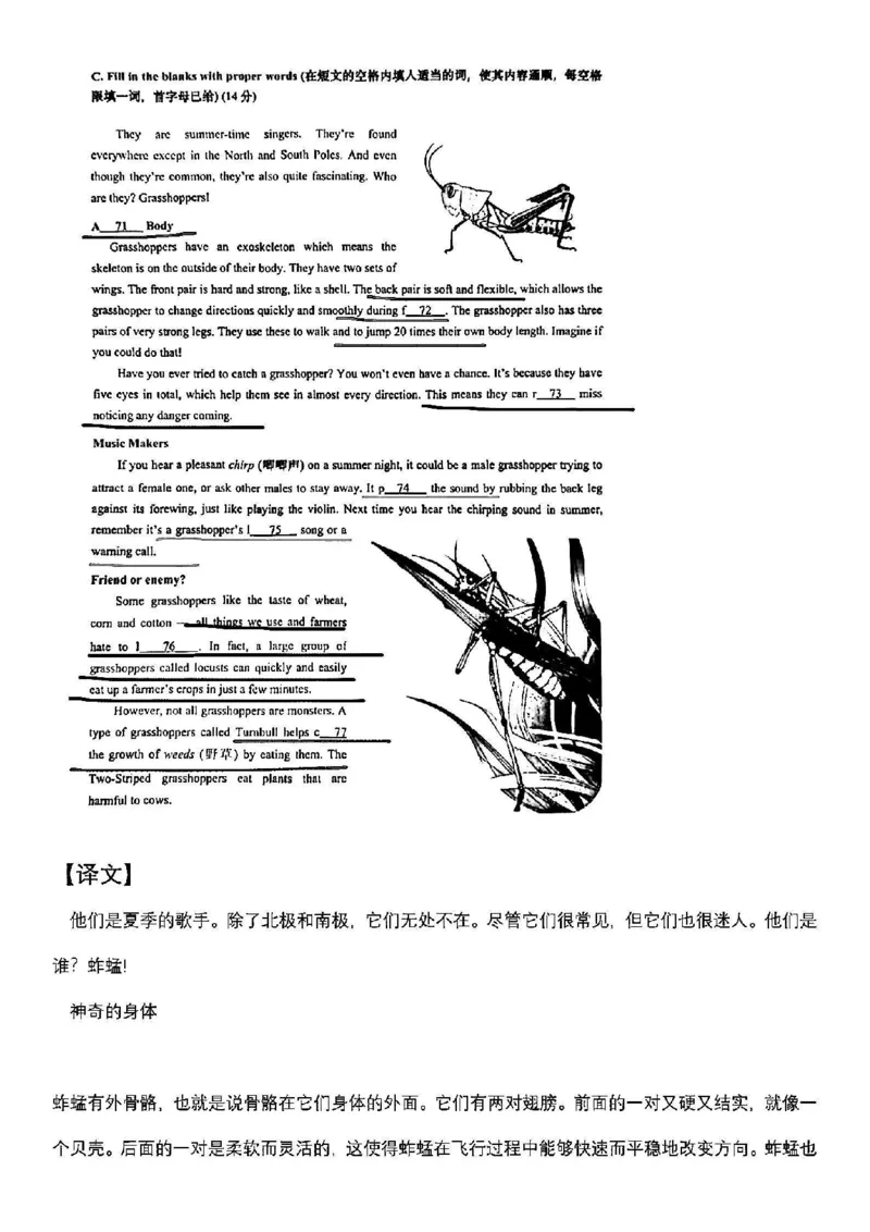 2025普陀一模英语参考答案_0122026上海中考一模二模真题试卷_2025-2012年_6.2025年上海一模_答案2025上海初三一模（部分道法答案更新中）_普陀（语数英+物化跨学科）