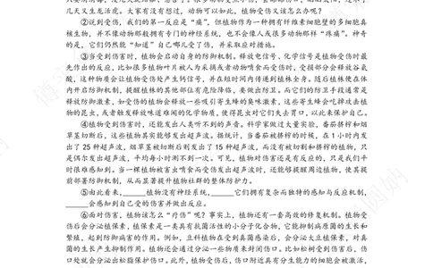 2025年奉贤区初三一模语文试卷及答案（参考）_0122026上海中考一模二模真题试卷_2025-2012年_6.2025年上海一模_分科目整理（试卷及答案）英语听力音频在这里_语文_答案