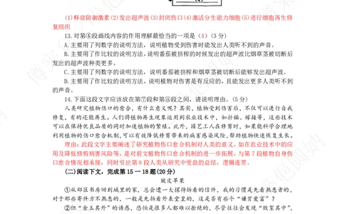 2025年奉贤区初三一模语文试卷及答案（参考）_0122026上海中考一模二模真题试卷_2025-2012年_6.2025年上海一模_分科目整理（试卷及答案）英语听力音频在这里_语文_答案