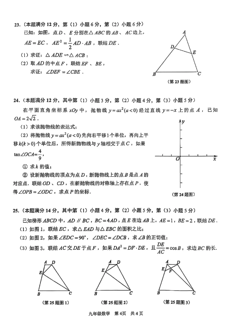 2025青浦区中考一模数学试卷(1)_0122026上海中考一模二模真题试卷_2025-2012年_6.2025年上海一模_分科目整理（试卷及答案）英语听力音频在这里_数学