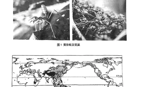 2025届嘉定区初三一模跨学科试卷_0122026上海中考一模二模真题试卷_2025-2012年_6.2025年上海一模_分科目整理（试卷及答案）英语听力音频在这里_跨学科