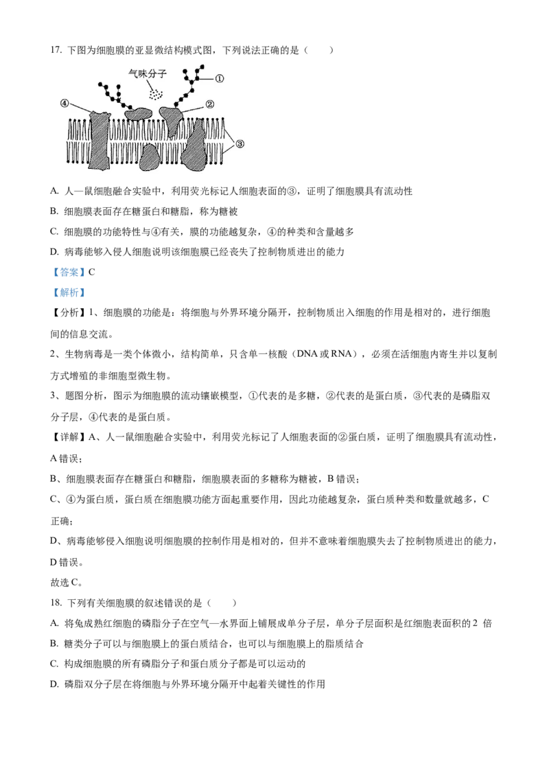 四川省眉山市仁寿县协作体2024-2025学年高一上学期11月期中联考生物试题Word版含解析_2024年12月试卷_1224四川省眉山市仁寿县协作体2024-2025学年高一上学期11月期中联考
