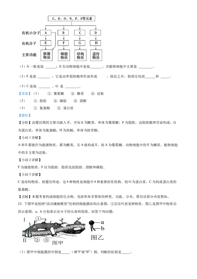四川省眉山市仁寿县协作体2024-2025学年高一上学期11月期中联考生物试题Word版含解析_2024年12月试卷_1224四川省眉山市仁寿县协作体2024-2025学年高一上学期11月期中联考