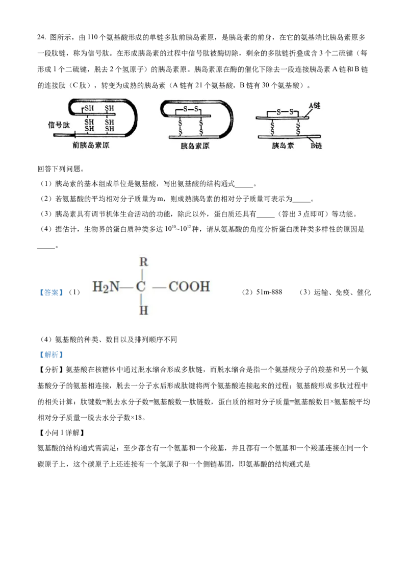 四川省眉山市仁寿县协作体2024-2025学年高一上学期11月期中联考生物试题Word版含解析_2024年12月试卷_1224四川省眉山市仁寿县协作体2024-2025学年高一上学期11月期中联考