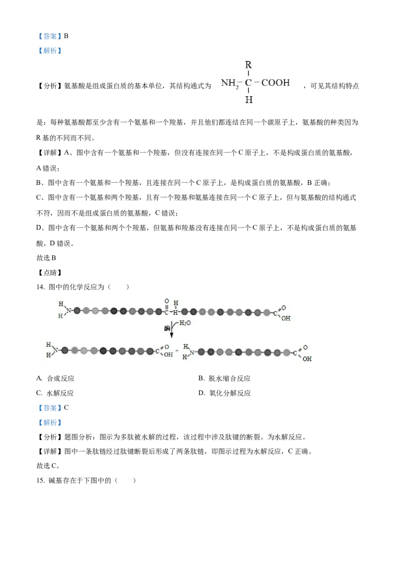 四川省眉山市仁寿县协作体2024-2025学年高一上学期11月期中联考生物试题Word版含解析_2024年12月试卷_1224四川省眉山市仁寿县协作体2024-2025学年高一上学期11月期中联考