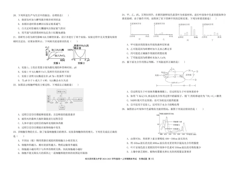 哈尔滨市第九中学校2024-2025学年高一上学期期末考试生物试卷（图片版）_2025年01月试卷_0115黑龙江省哈尔滨市第九中学2024-2025学年高一上学期期末考试