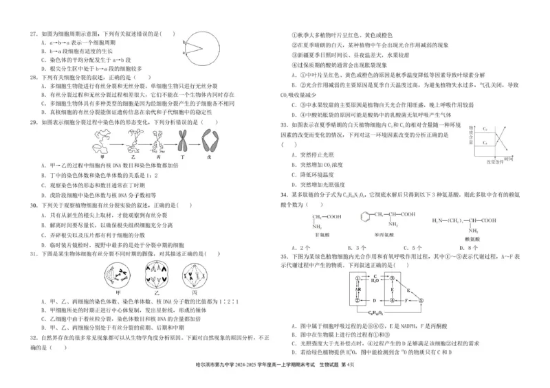 哈尔滨市第九中学校2024-2025学年高一上学期期末考试生物试卷（图片版）_2025年01月试卷_0115黑龙江省哈尔滨市第九中学2024-2025学年高一上学期期末考试