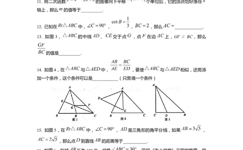 上海市普陀区2020届九年级上学期期末(一模）质量调研数学试卷（word原卷版）_0122026上海中考一模二模真题试卷_2025-2012年_2.上海中考数学一模二模（12-24）_一模