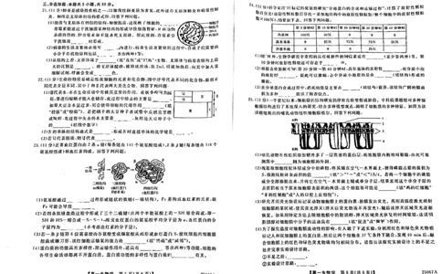 吉林省四平市普通高中2024-2025学年高一上学期期中教学质量检测生物试题_2024年11月试卷_1117吉林省四平市普通高中2024-2025学年高一上学期期中考试