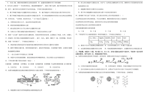 吉林省长春市朝阳区长春外国语学校2025-2026学年高一上学期10月月考生物试题（含答案）_2025年10月高一试卷_251027吉林省长春外国语学校2025-2026学年高一上学期10月月考（全）