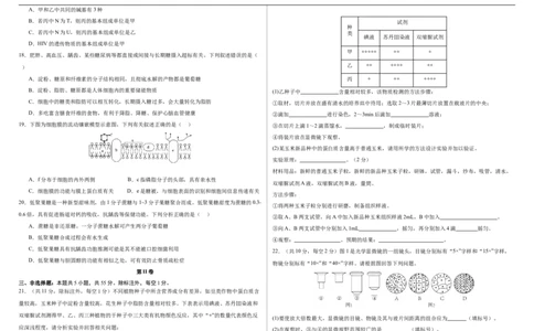 吉林省长春市朝阳区长春外国语学校2025-2026学年高一上学期10月月考生物试题（含答案）_2025年10月高一试卷_251027吉林省长春外国语学校2025-2026学年高一上学期10月月考（全）