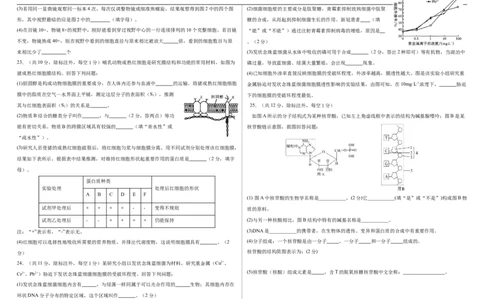 吉林省长春市朝阳区长春外国语学校2025-2026学年高一上学期10月月考生物试题（含答案）_2025年10月高一试卷_251027吉林省长春外国语学校2025-2026学年高一上学期10月月考（全）