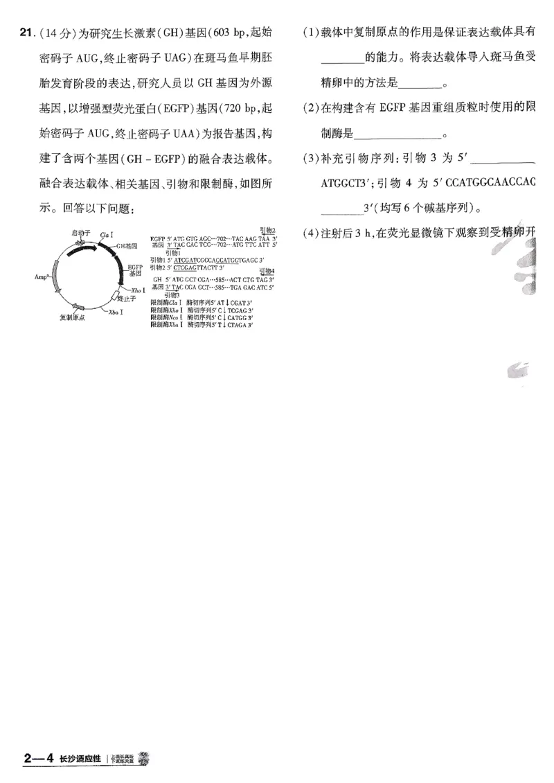 2026生物金考卷特快专递第6期《一模精选卷》试题册_第六期物化生_2026生物金考卷特快专递第6期《一模精选卷》
