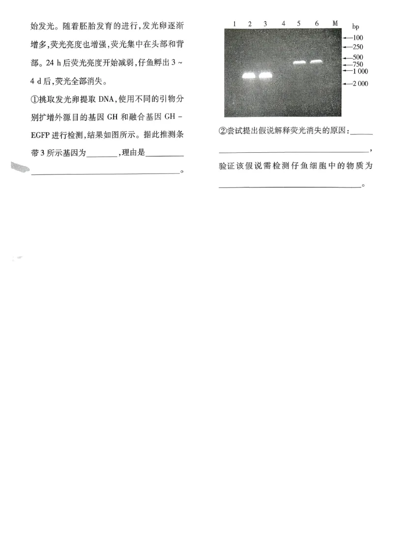 2026生物金考卷特快专递第6期《一模精选卷》试题册_第六期物化生_2026生物金考卷特快专递第6期《一模精选卷》