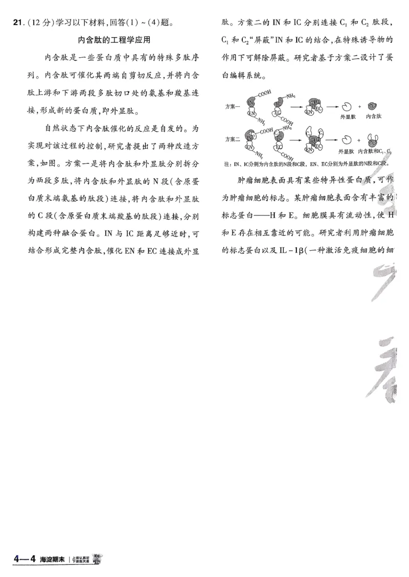 2026生物金考卷特快专递第6期《一模精选卷》试题册_第六期物化生_2026生物金考卷特快专递第6期《一模精选卷》