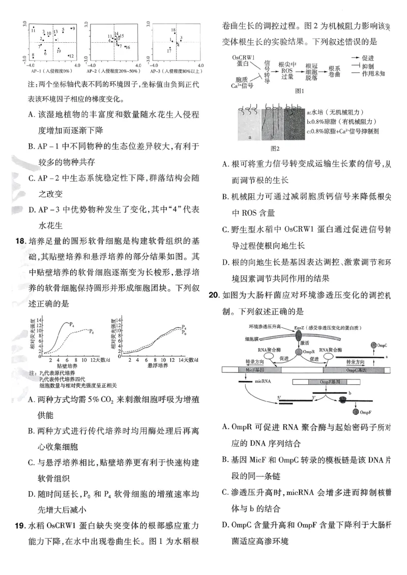 2026生物金考卷特快专递第6期《一模精选卷》试题册_第六期物化生_2026生物金考卷特快专递第6期《一模精选卷》
