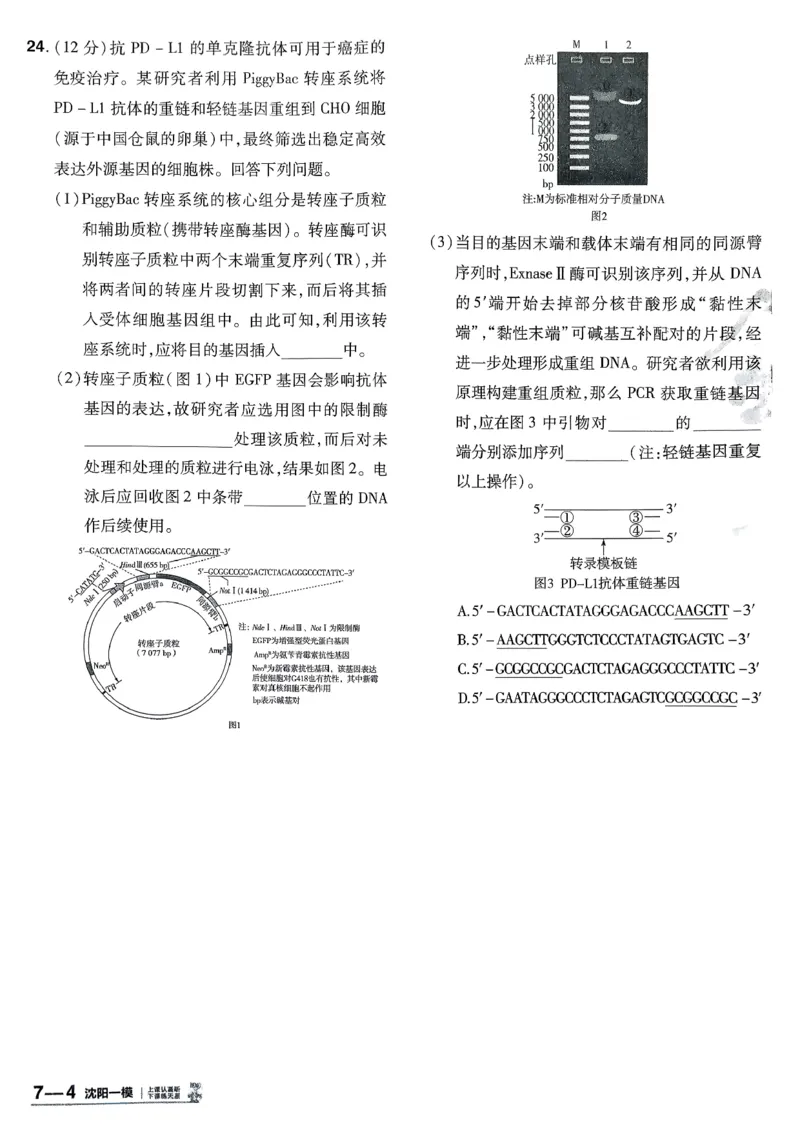 2026生物金考卷特快专递第6期《一模精选卷》试题册_第六期物化生_2026生物金考卷特快专递第6期《一模精选卷》