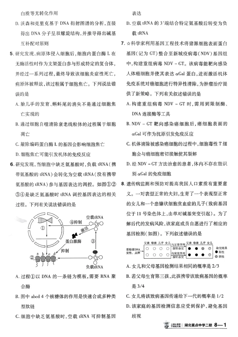 2026生物金考卷特快专递第6期《一模精选卷》试题册_第六期物化生_2026生物金考卷特快专递第6期《一模精选卷》